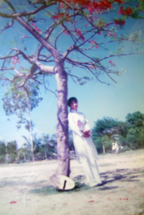 Nhà văn Nguyễn Nhật Ánh yêu loài hoa nào nhất ? ảnh 3