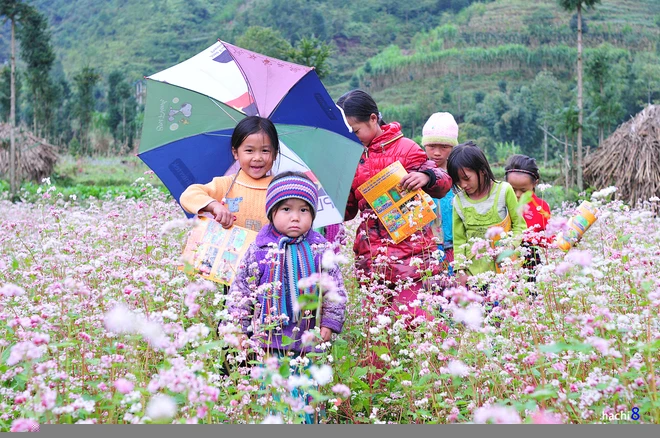 Theo chân tam giác mạch trên cao nguyên đá ảnh 2