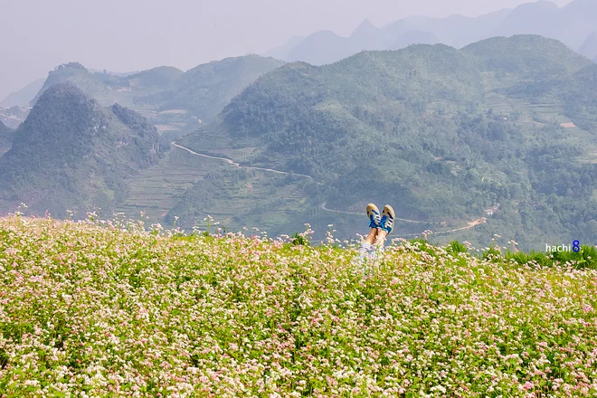 Theo chân tam giác mạch trên cao nguyên đá ảnh 3