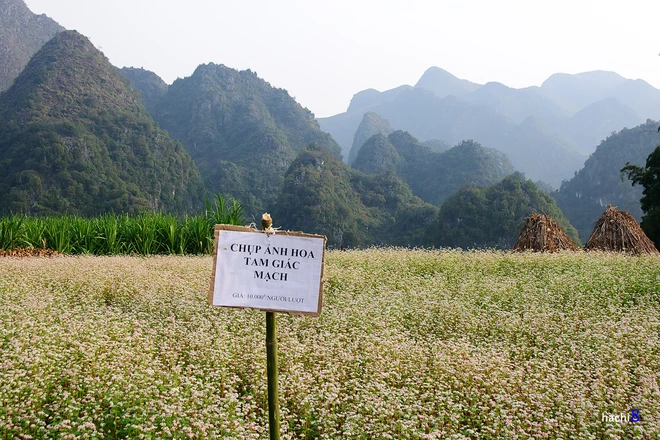 Theo chân tam giác mạch trên cao nguyên đá ảnh 8