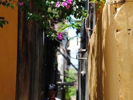 Một ngõ hẻm trong khu <a href='https://plo.vn/do-thi/' title='đô thị'>đô thị</a> Hội An.