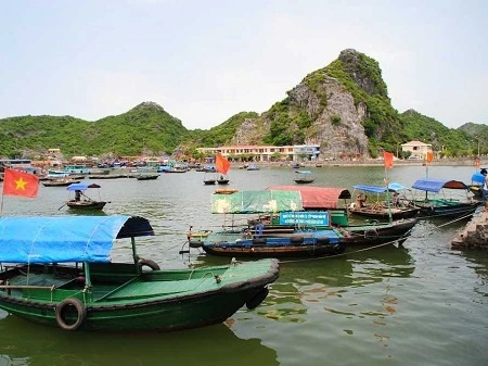 Tàu thuyền ở đảo Cát Bà.