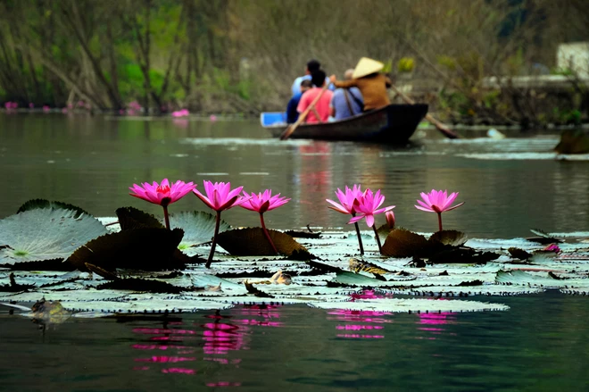 Suối Yến mùa nước nở hoa ảnh 4