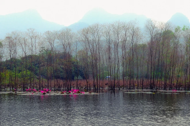 Suối Yến mùa nước nở hoa ảnh 6