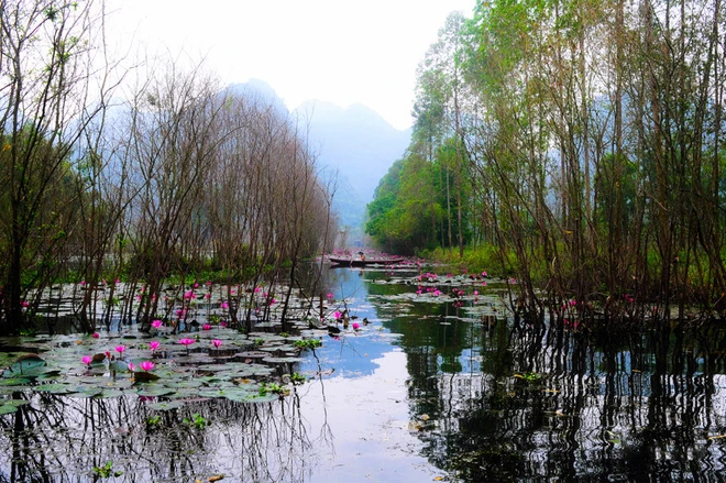 Suối Yến mùa nước nở hoa ảnh 2