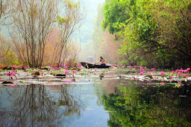 Suối Yến mùa nước nở hoa ảnh 8