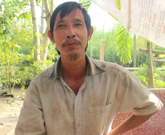 Cho heo nghe nhạc để dễ đậu thai