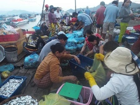 Khi trời còn chưa sáng, làng chài Bình Ba đã nhộn nhịp, rôm rả tiếng “người mua kẻ bán”.