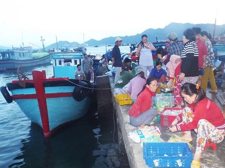 Khi trời còn chưa sáng, làng chài Bình Ba đã nhộn nhịp, rôm rả tiếng “người mua kẻ bán”.