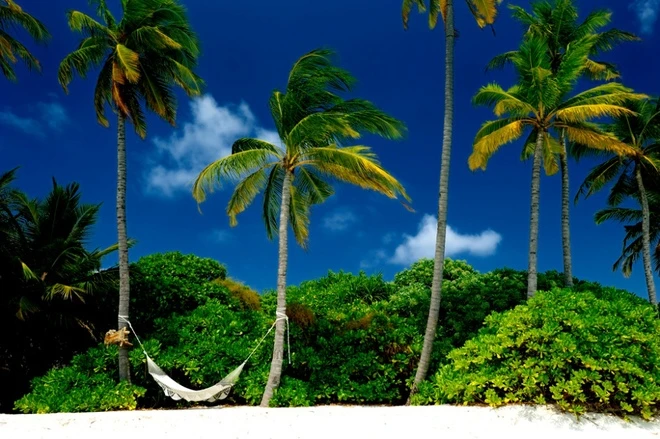 Hội An vào Top 10 điểm đến có khách sạn tốt nhất thế giới ảnh 2