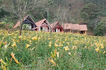 &nbsp;Du khách đi qua cầu treo vào làng Cù Lần