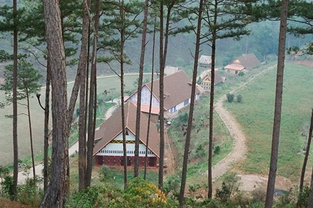 &nbsp;Dãy nhà nép mình dưới hàng thông vi vu