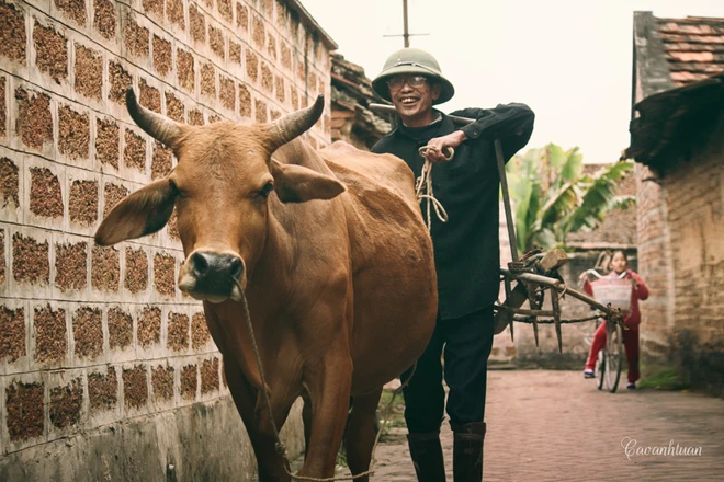 Những nét cổ Đường Lâm ảnh 7