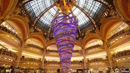 Cây thông lộn ngược