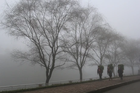 Những người phụ nữ Sa Pa cần mẫn lấy thức ăn cho gia súc.