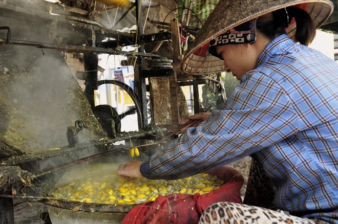 Những sợi tơ vàng óng ánh của Thành Nam ảnh 4