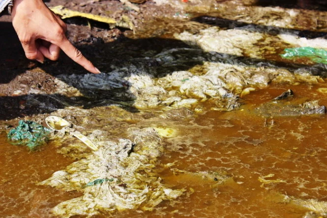 Hóa chất có màu vàng - Ảnh: Hải Hiếu