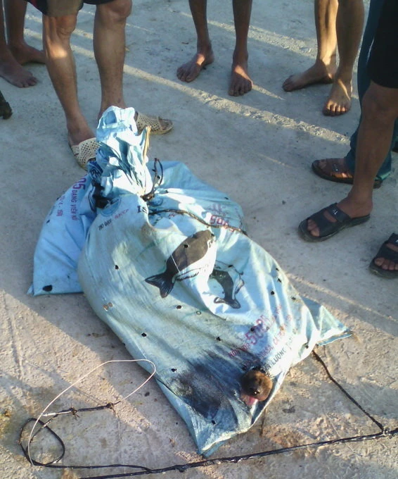 Bao tải đựng chó, dụng cụ của nghi phạm trộm chó bỏ lại hiện trường trong vụ trộm chó xảy ra rạng sáng 10- 7- 2014 tại thôn Duyên Lĩnh, xã Thạch Đồng, huyện Thạch Thành (Thanh Hóa) - Ảnh do người dân cung cấp