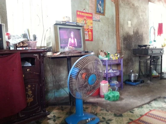 The voice kids, ca sĩ, gameshow