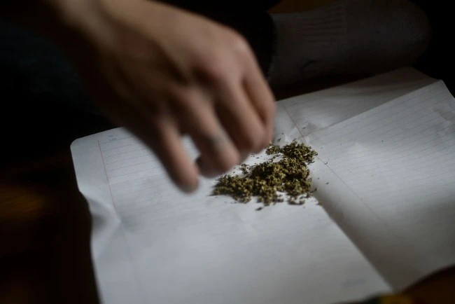 Đây là một loại ma tuý được chế từ lá và hoa của cây Cannabis. Trong cần sa có chất THC là yếu tố làm cho người sử dụng “phê”. Hoa và nhụy chứa nhiều THC hơn so với thân và lá. Khi hút cần sa, THC nhanh chóng qua phổi vào máu đi lên não. Chất THC được hấp thu rất nhanh vào mô mỡ trong cơ thể, sau đó mới từ từ giải phóng vào máu.