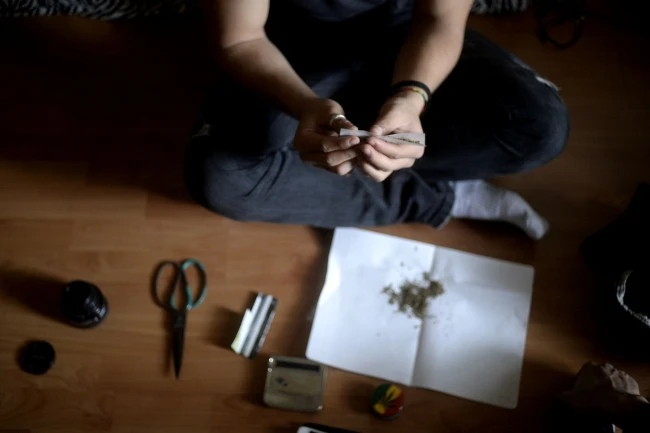 Trước khi sử dụng, thông thường, cần sa sẽ được cắt nhỏ. Người hút có thể sử dụng tẩu, điếu cày... Nhưng cách hút phổ biến nhất là cuốn và hút như thuốc lá.