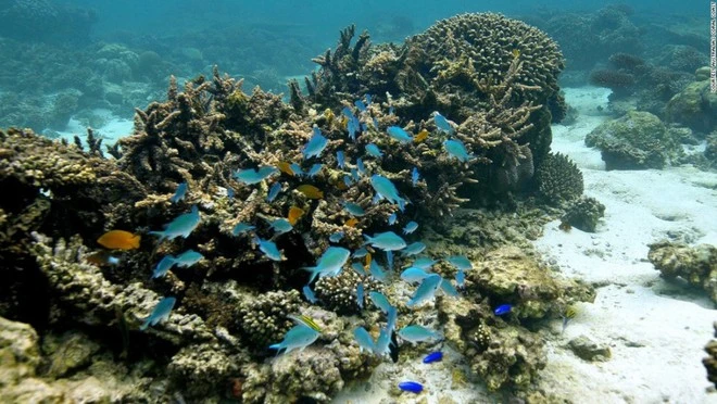 12 di sản thiên nhiên tuyệt mỹ của trái đất ảnh 10