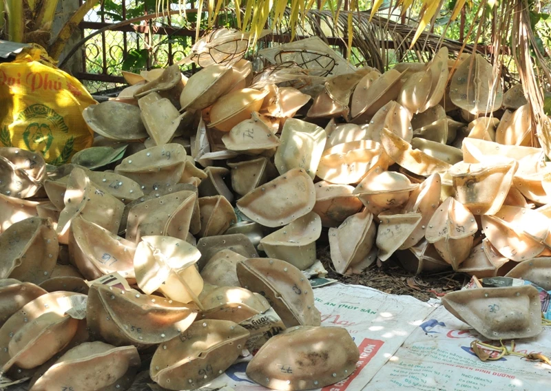 Khuôn dưa hình thỏi vàng, trái tim... là chi phí rất lớn khi chọn nghề trồng dưa tạo hình