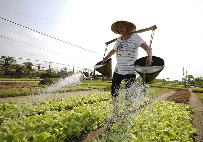 Khách nước ngoài xới đất, tưới rau ở ngôi làng 500 tuổi ảnh 11
