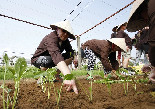 Khách nước ngoài xới đất, tưới rau ở ngôi làng 500 tuổi ảnh 9