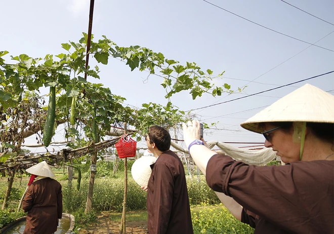 Khách nước ngoài xới đất, tưới rau ở ngôi làng 500 tuổi ảnh 10