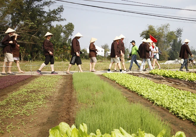 Khách nước ngoài xới đất, tưới rau ở ngôi làng 500 tuổi ảnh 8