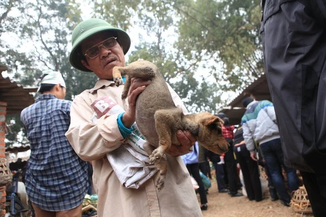 Phiên chợ Nủa đậm chất đồng bằng Bắc Bộ xưa ảnh 8