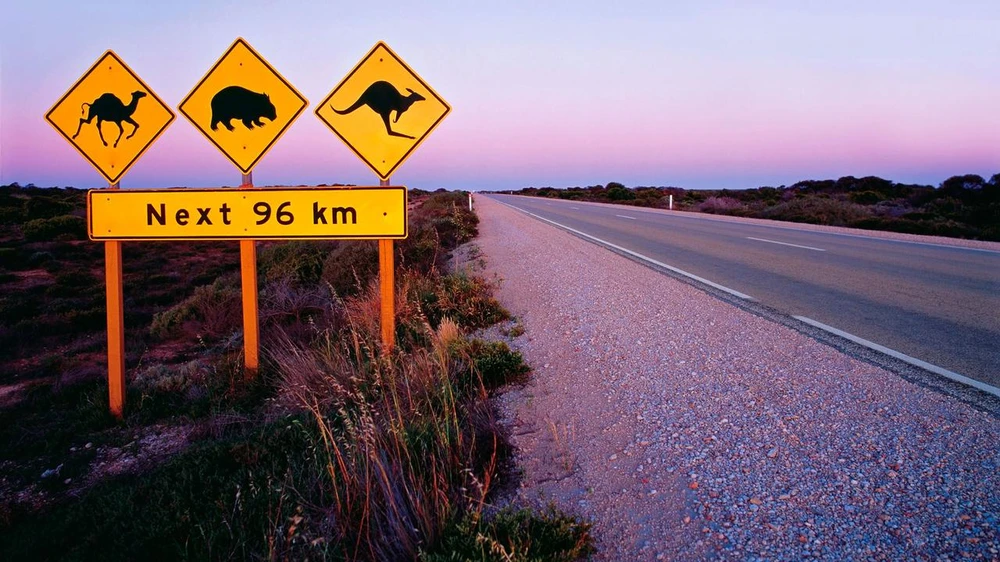 Rợn người trước những cung đường nguy hiểm nhất thế giới