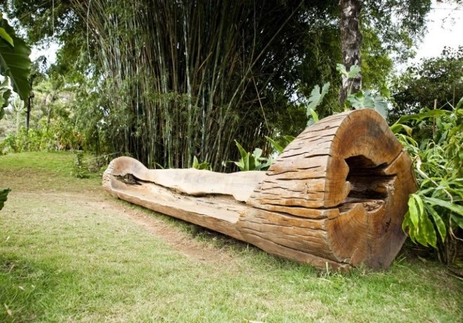 Tận dụng cây đổ để phục vụ cộng đồng ảnh 5