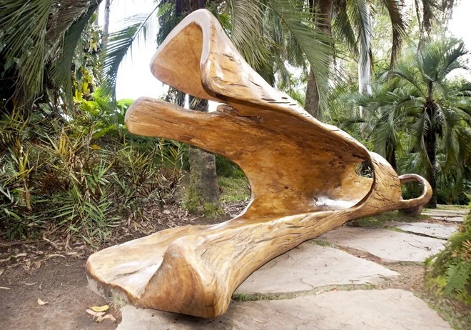 Tận dụng cây đổ để phục vụ cộng đồng ảnh 6