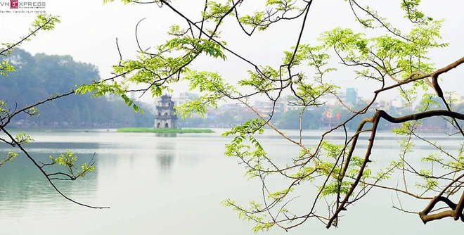 Hồ Gươm nên thơ mùa hoa mõ nở ảnh 6