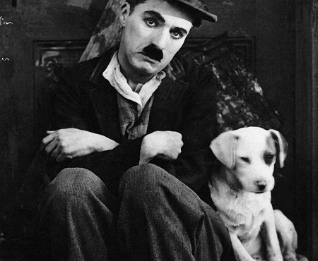 Vua hề Sác-lô bị tố cáo “độc ác, vô nhân đạo”