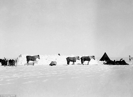 Đoàn thám hiểm dựng trại nghỉ ngơi, chống chọi với cái lạnh -57 độ C.