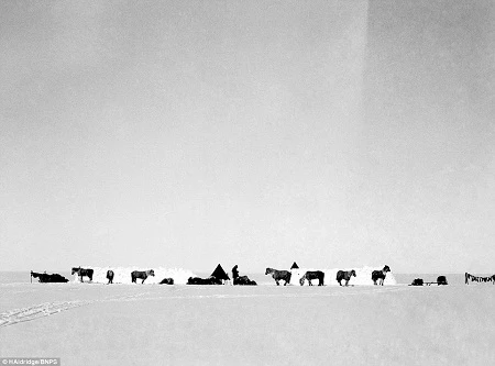 Mức độ sáng rõ của những bức ảnh thực sự khiến người xem kinh ngạc.