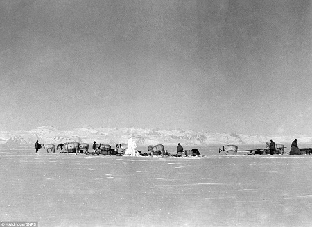 Mức độ sáng rõ của những bức ảnh thực sự khiến người xem kinh ngạc.