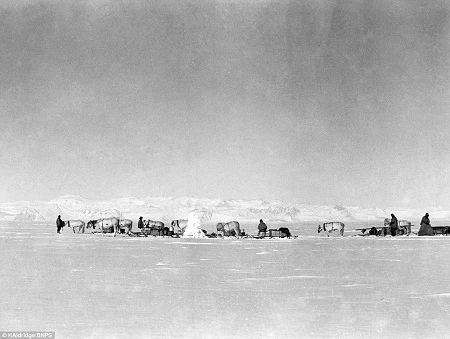 Mức độ sáng rõ của những bức ảnh thực sự khiến người xem kinh ngạc.