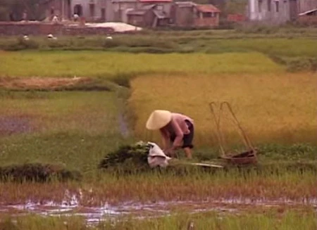 Những cảnh quay ở Việt Nam trong phim