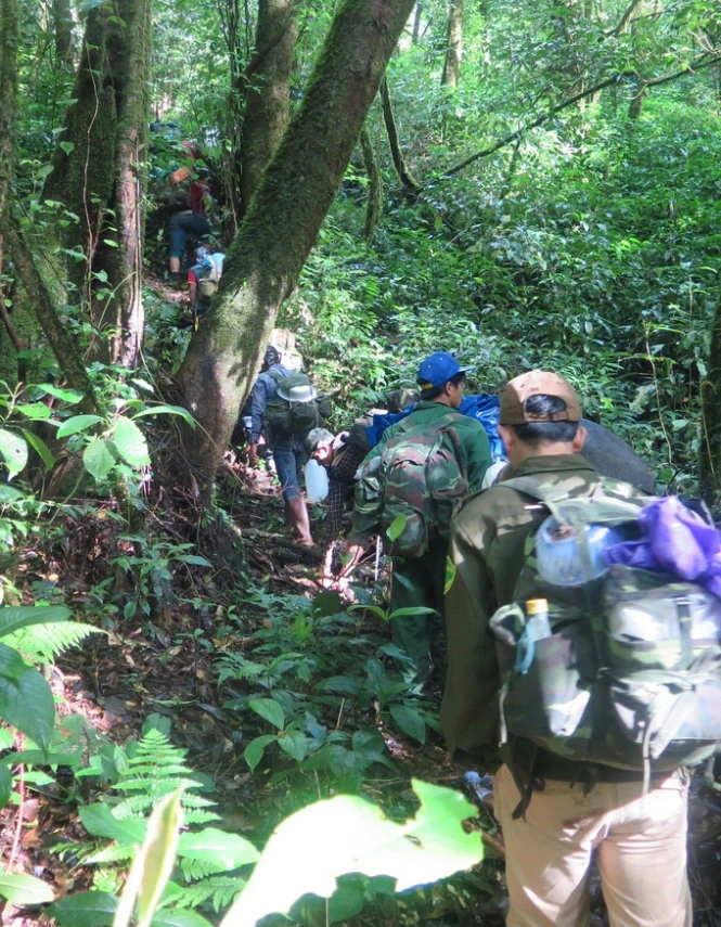 Bắt đầu băng rừng để lên - Ảnh: Tấn Vũ