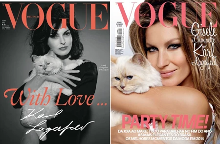 Năm ngoái, Choupette đã kiếm bộn tiền từ hai hợp đồng quảng cáo.