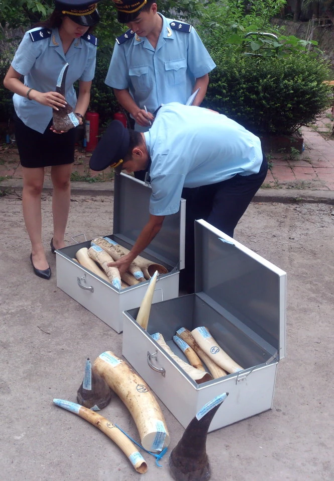 Hải quan đang kiểm tra lô hàng bắt giữ - Ảnh: M.Quang