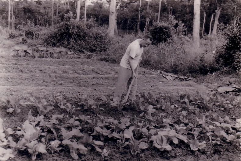 đại tướng, Hoàng Văn Thái