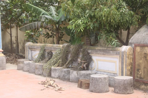 Nam Định, bảo tàng, đồng quê, Giao Thủy...