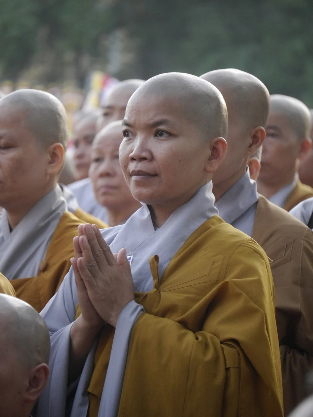 TP.HCM, Huế người dân đón mừng lễ Phật đản ảnh 9