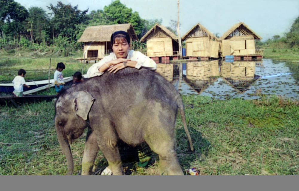 Jaly thời chăm sóc con voi nhỏ Hồi Sinh (Buôn Cợt).