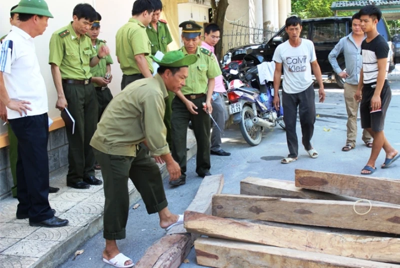 Truy tố nguyên trạm trưởng kiểm lâm 'làm luật' doanh nghiệp ảnh 1